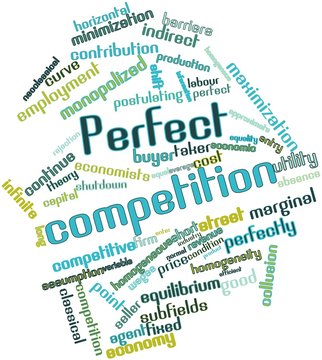 Word cloud for Perfect competition