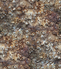 Seamless texture of rusty surface.