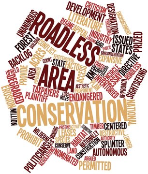 Word cloud for Roadless area conservation