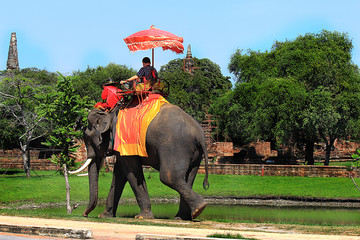 Ayutthaya destroyed temple and elephant with tourists