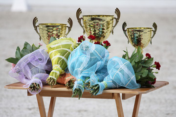 Gold trophy cups