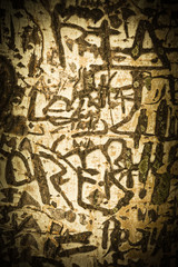 Textur aus Schriftzeichen in Baumrinde