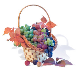 basket with grapes