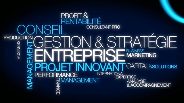 Conseil gestion strat&eacute;gie entreprise nuage de mots animation