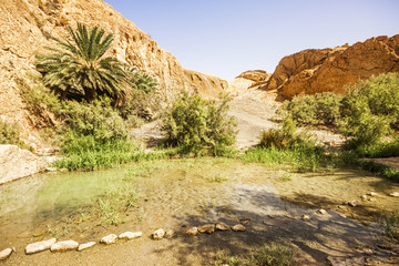 mountain oasis Chebika, Tunisia, Africa