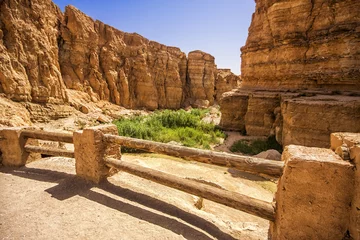 Fototapeten Tunesien Canyon in the oasis of Tamerza, Tunisia  © mrks_v