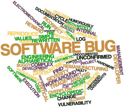 Word cloud for Software bug