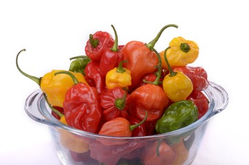 Habaneros in Glasschale