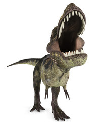 tyrannosaurus rex close up