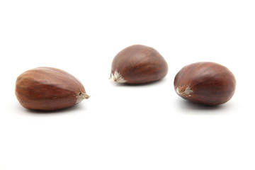 Chestnuts isolated on white background