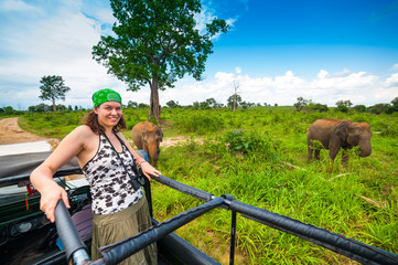 Safari