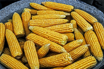 Corn boiled in a large pot