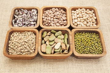 bean and lentil set