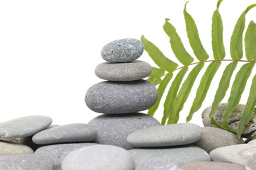 Obraz na płótnie Canvas green fern leaf with Pile of pebble Stones