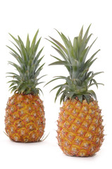 Two ripe pineapple fruits
