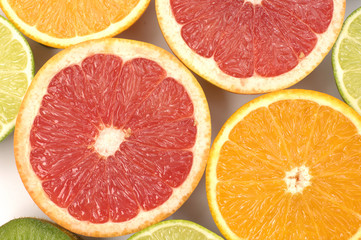 Sliced citrus collection