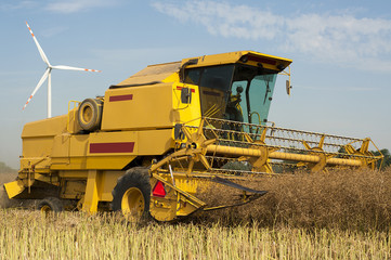 Fototapeta premium Combine harvester
