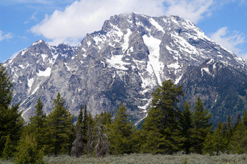Fototapeta na wymiar Grand Teton National Park, Wyoming, USA