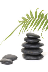 Obraz na płótnie Canvas green fern leaf and with spa stones in perfect balance,