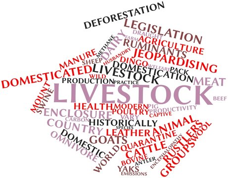 Word cloud for Livestock