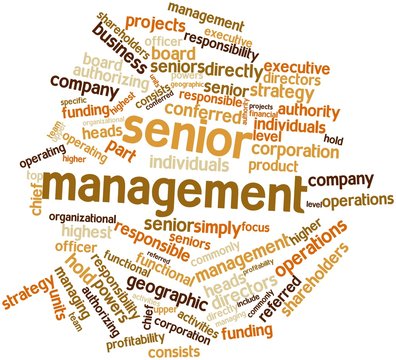 Word cloud for Senior management