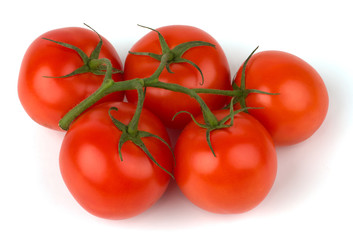 Branch of tomato isolated on white background.