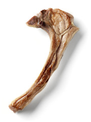 lamb chop isolated
