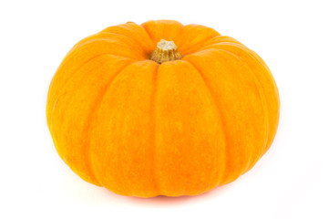 Single ripe pumpkin on white