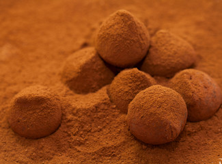 chocolate truffles