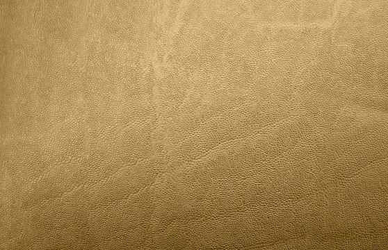 Texture pelle gold