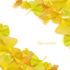 イチョウ斜め配置