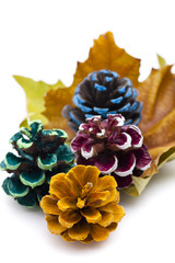 dyed pine cones