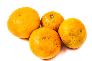 fruits on the white background