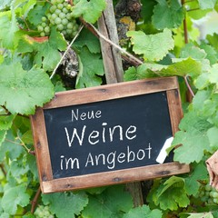 Neue Weine im Angebot