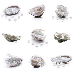 Muscheln und Austern mit Perlen
