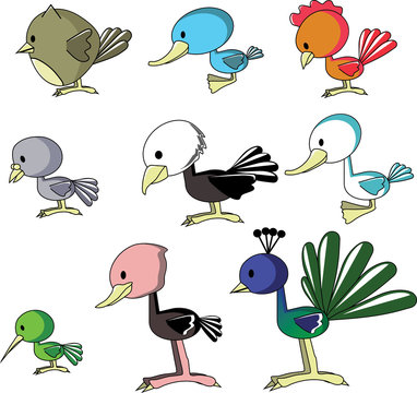 birds vector include owl, duck, cock, pigeon
