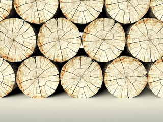 Fototapeta premium Felled tree stumps, 3d background