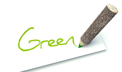 Green concept, ecology wooden pencil tree trunk