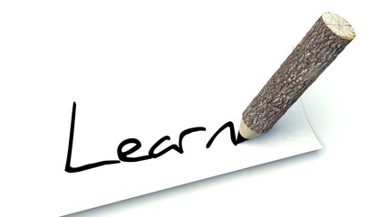 Learn concept, ecology wooden pencil tree trunk