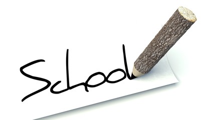School concept, ecology wooden pencil tree trunk