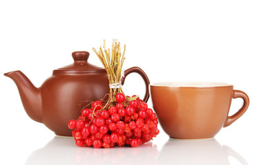 tea with red viburnum isolated on white