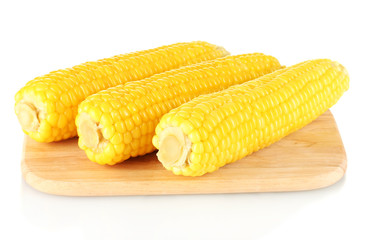 boiled corn isolated on white