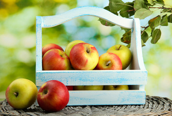 juicy apples with leaves in wooden basket, on green background