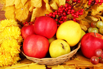 Autumnal composition with yellow leaves, apples and grape