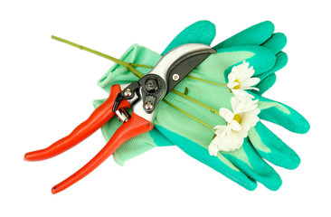 Secateurs with flower isolated on white