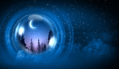 Winter christmas forest