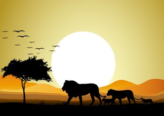 safari of lion family with sunrise background