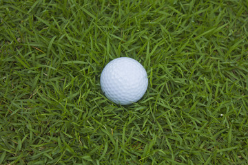 closeup of golf ball on green grass