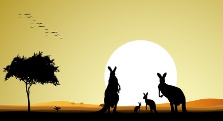 Plakat sylwetka Piękno rodziny kangura w tle zachodu słońca