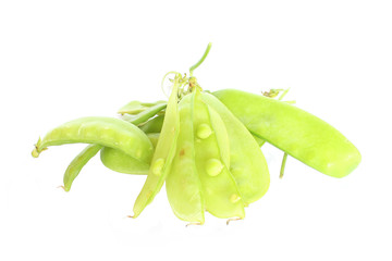 Garden Pea